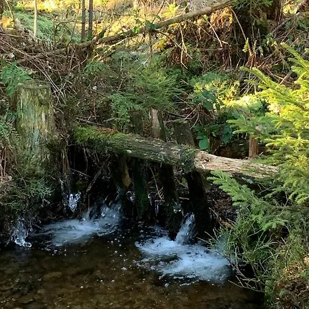 Fichtelzauber *