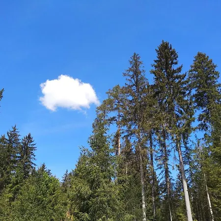 Fichtelzauber Apartamento Mehlmeisel